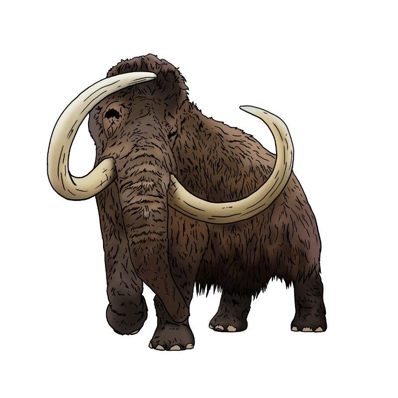 cool mammoth from the Ice Age gift idea