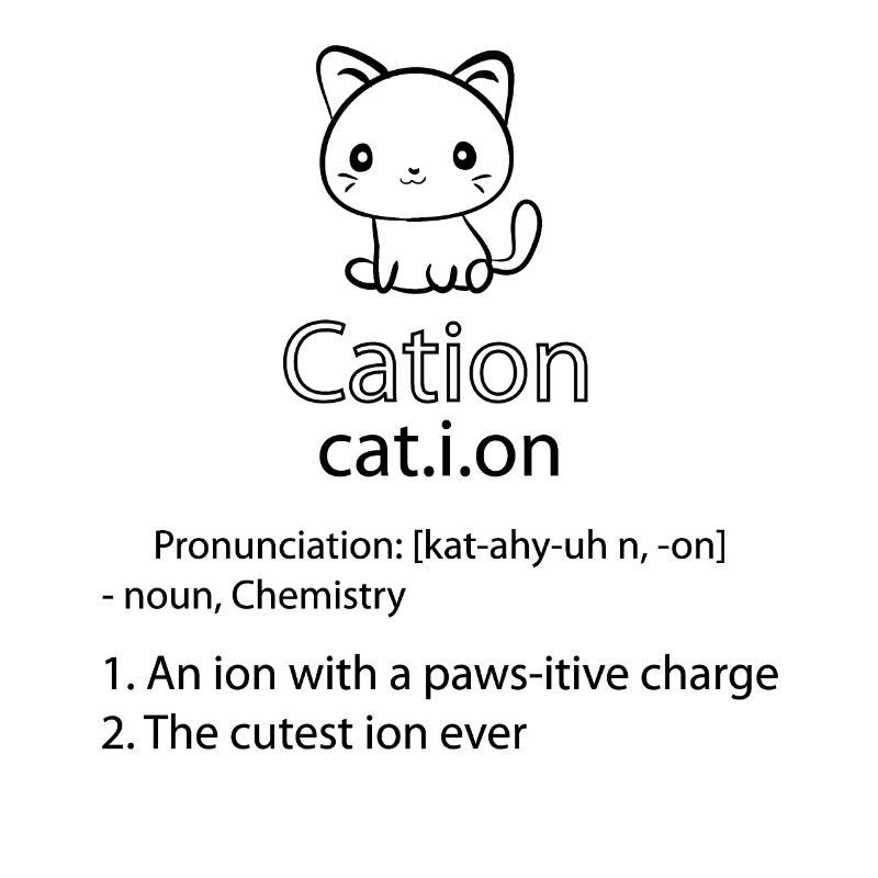 Ion chat chimie chat
