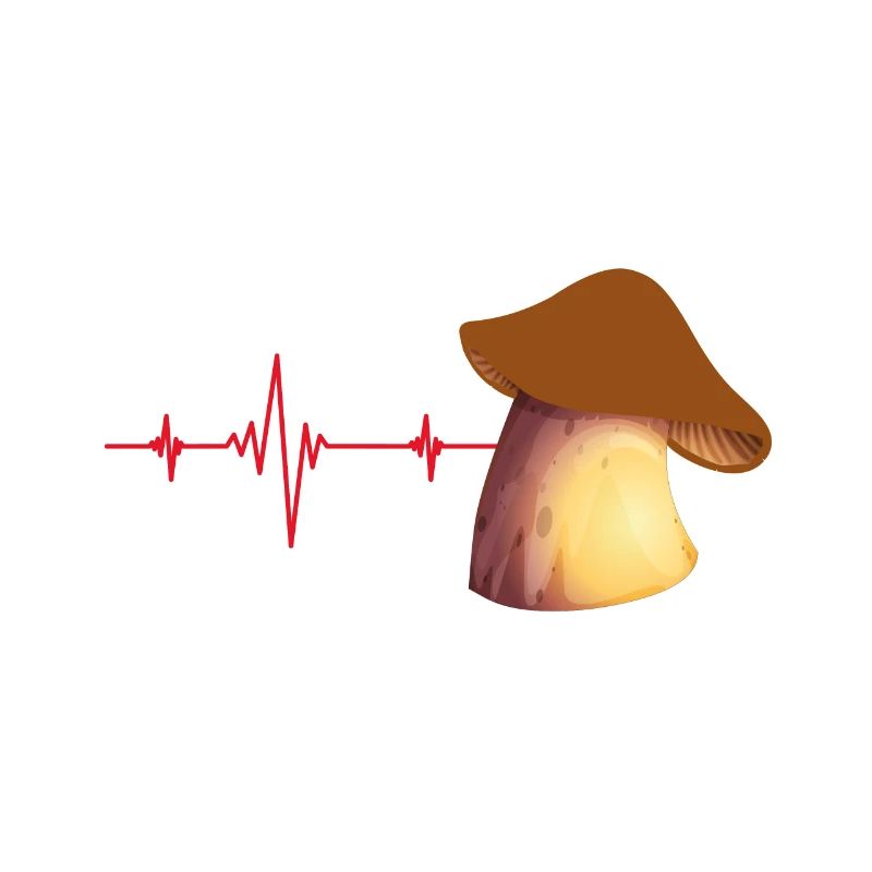 Champignons champignons champignons champignons champignons champignons