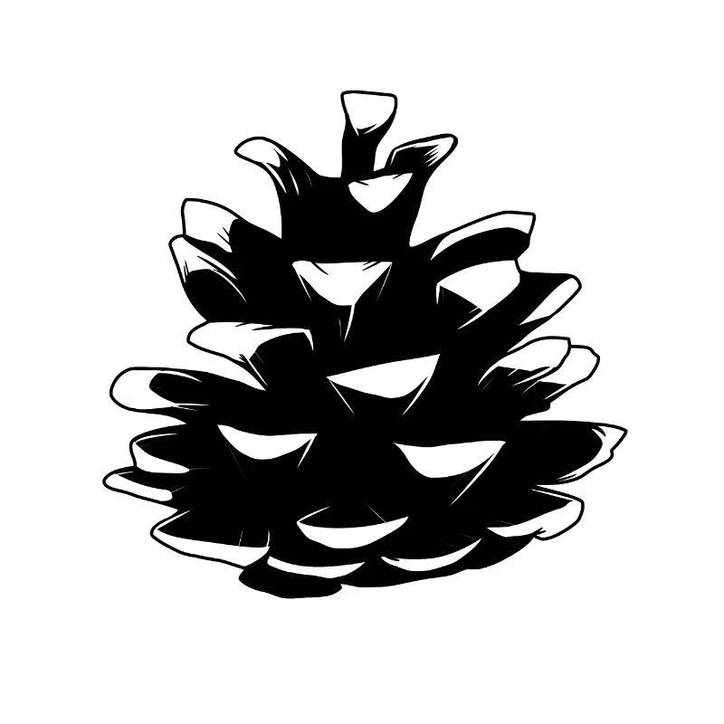 Pine pine cones Pine cones Forest Natural tree