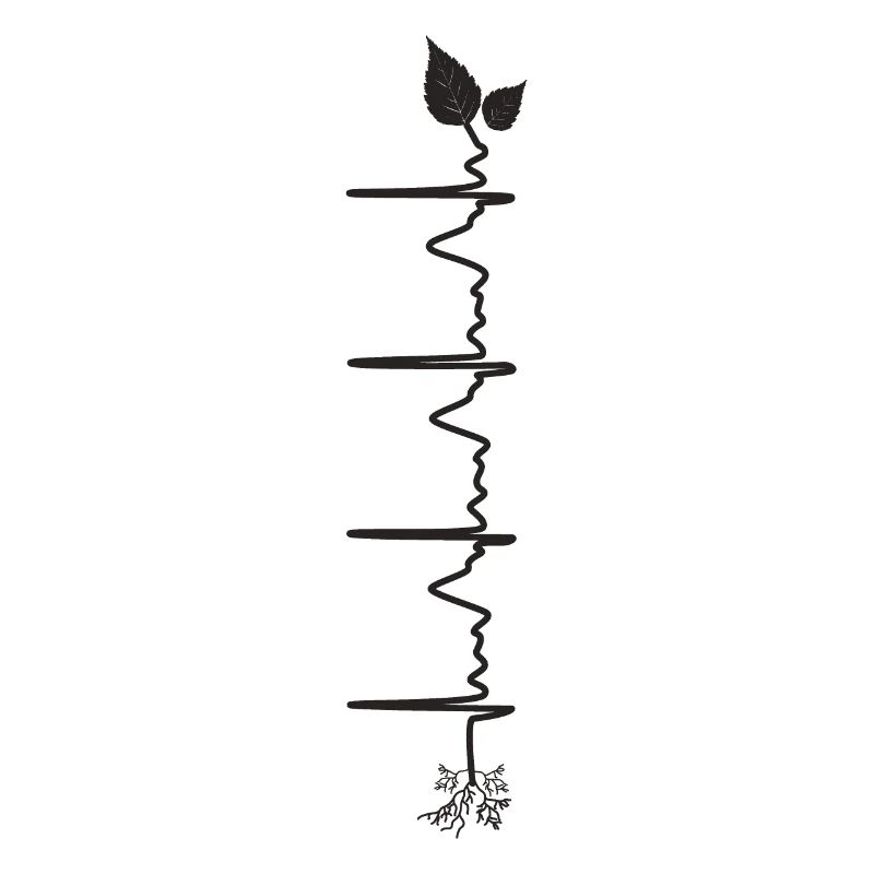 plants