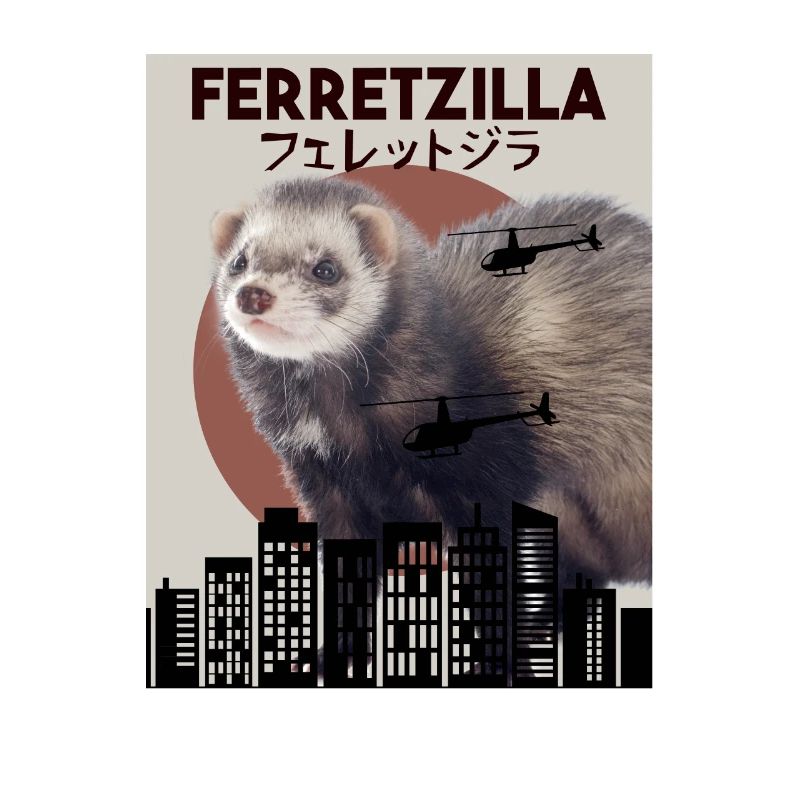 Frettchen