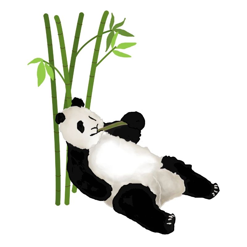 Panda, panda bear