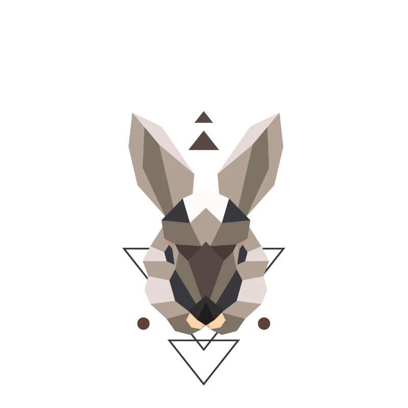 Lapin de type polygone lapin