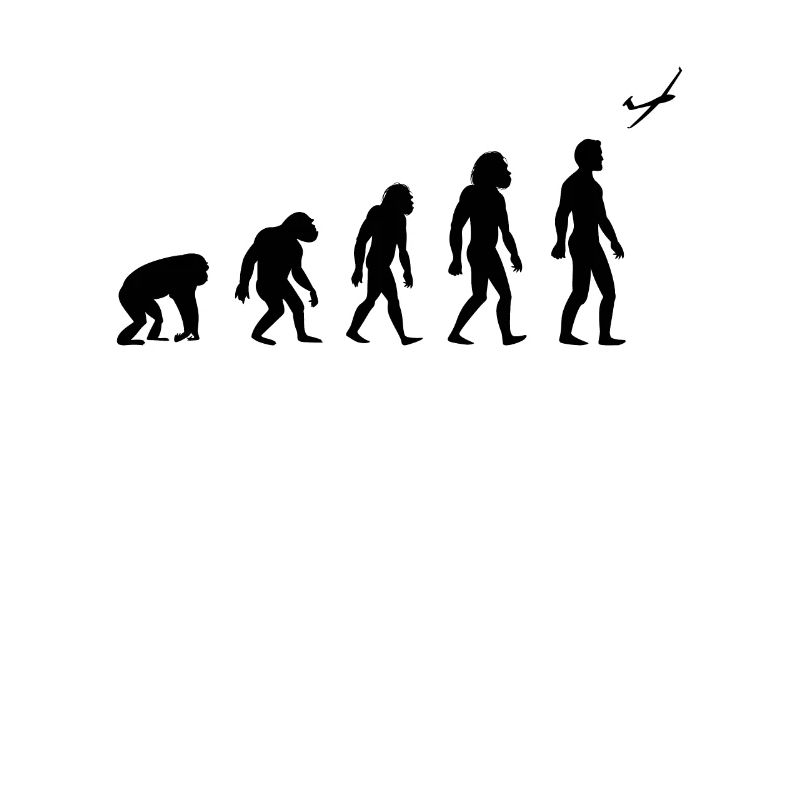 cadeau de voile de planeur évolution de vol de planeur