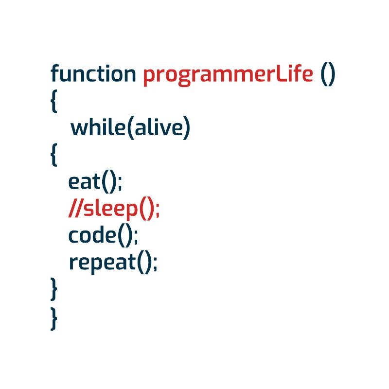 Computer Programmer Coders Software Engineers Gift