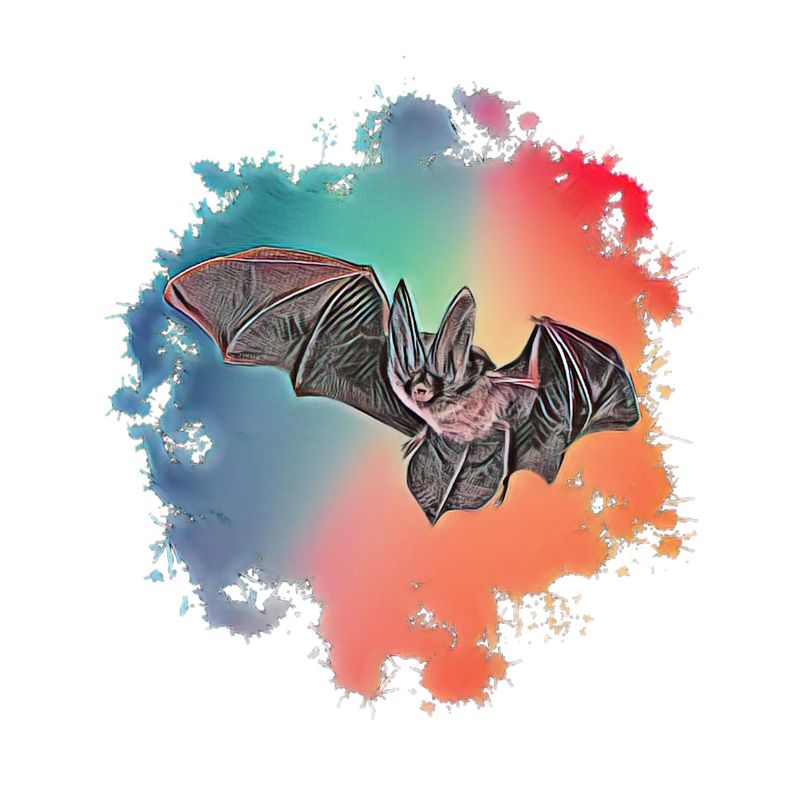bat