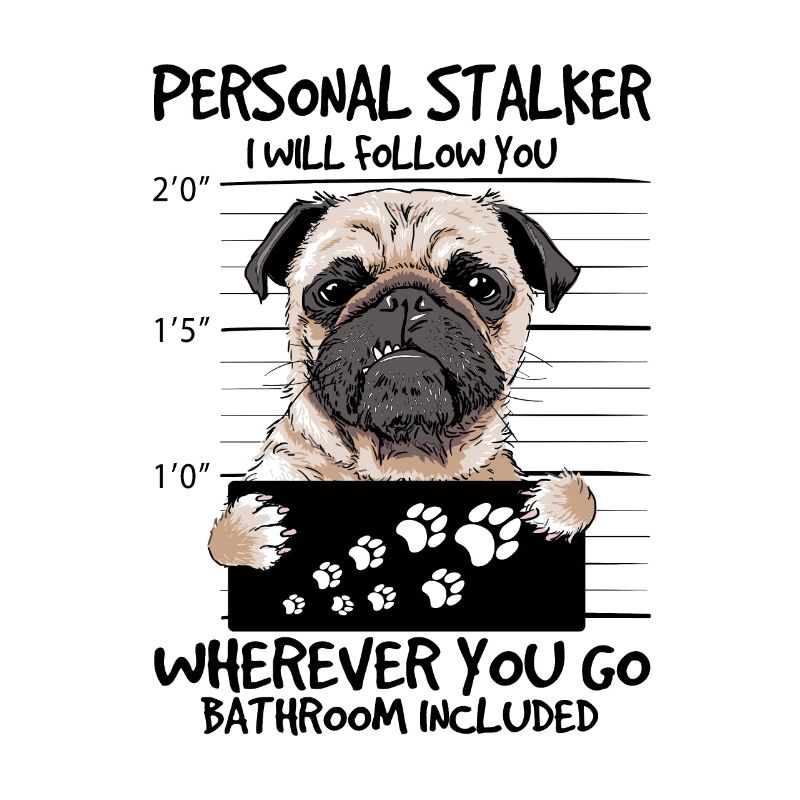 pug