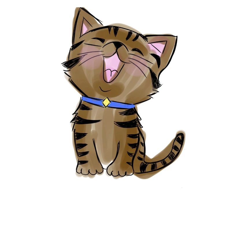 Kitten