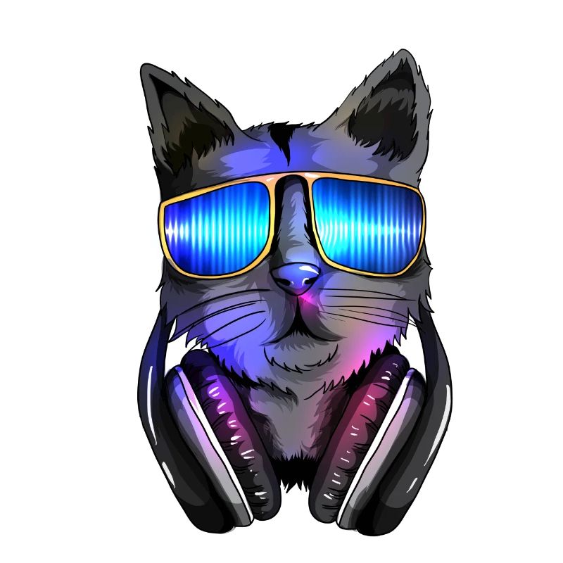 Cat Lover Techno Cat Electro Music DJ Cat