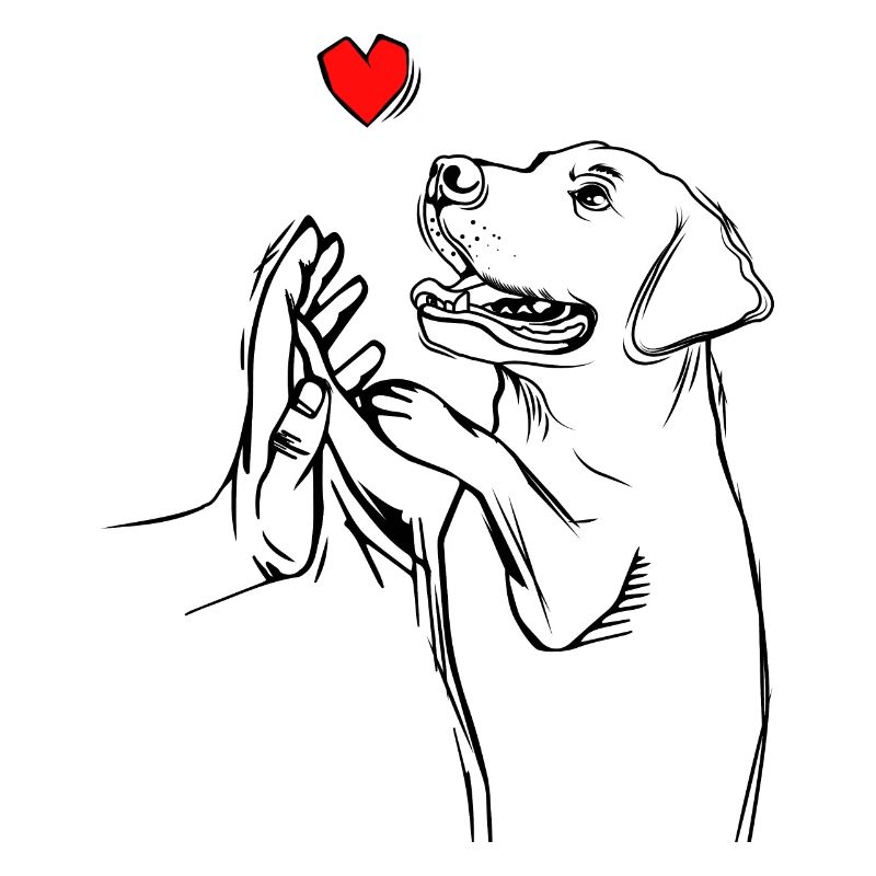 Labrador