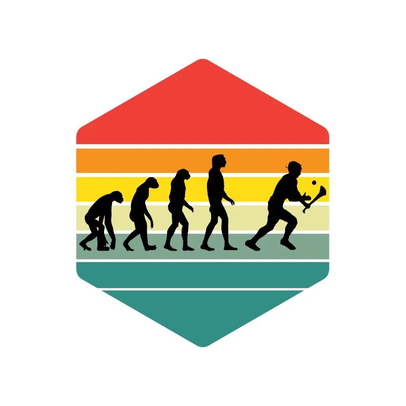 Die Evolution von Hurling