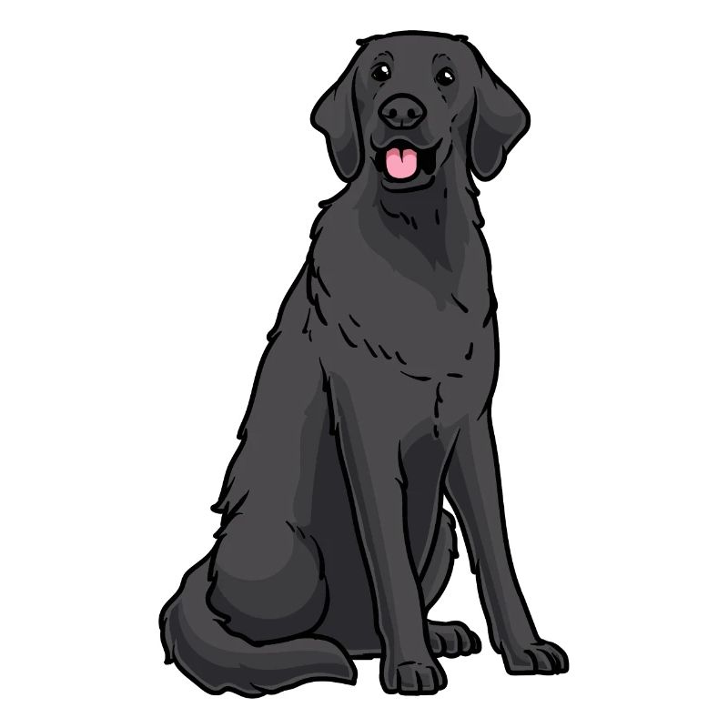 Flat Coated Retriever Dog