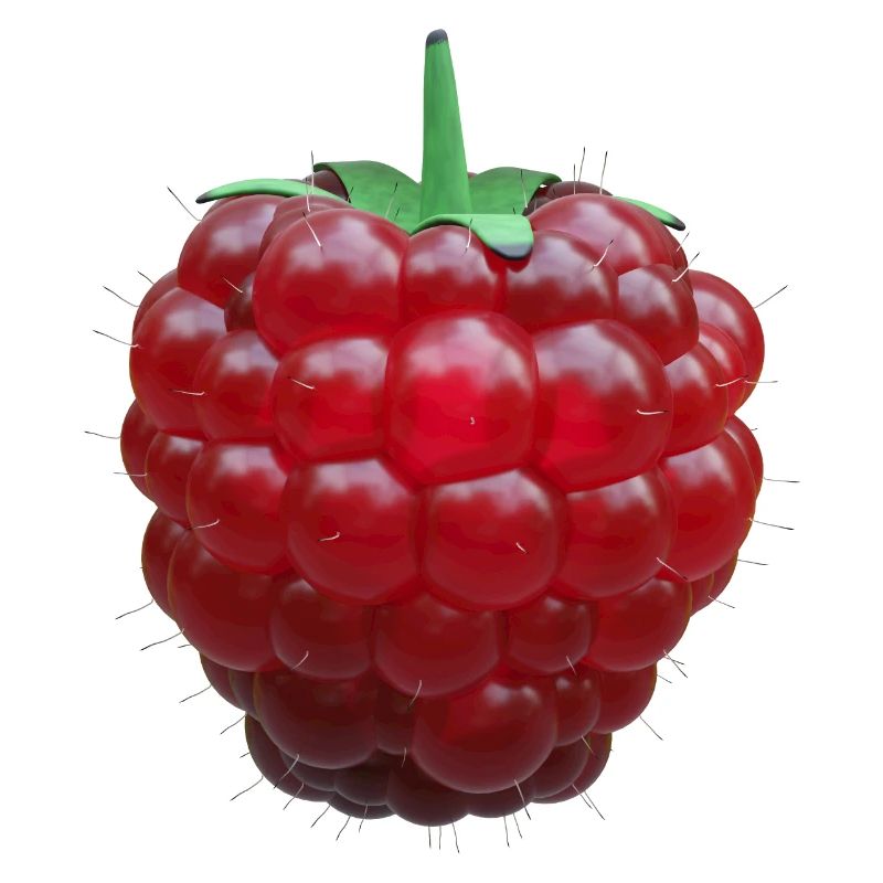 Raspberry