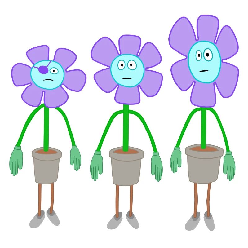 fun flower group