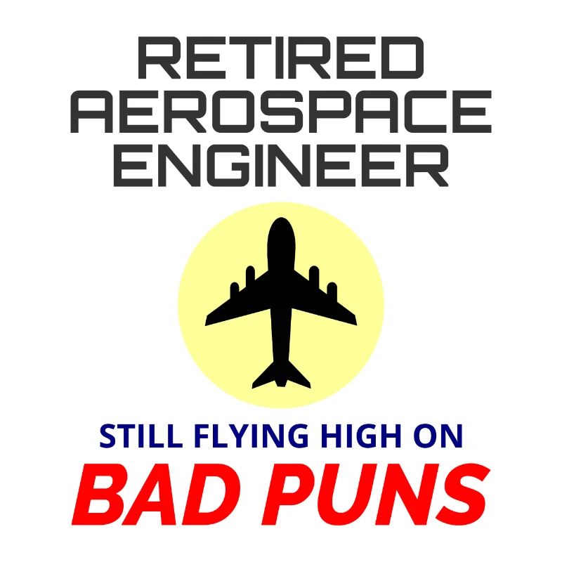 Retired Aerospace Engineer Flight Mechanics Plane