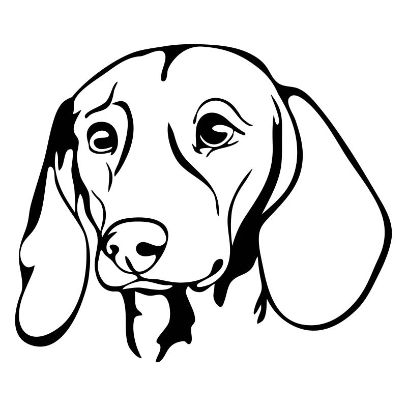 DACKEL DACHSHUND Teckel chiens de chasse Wilsigns