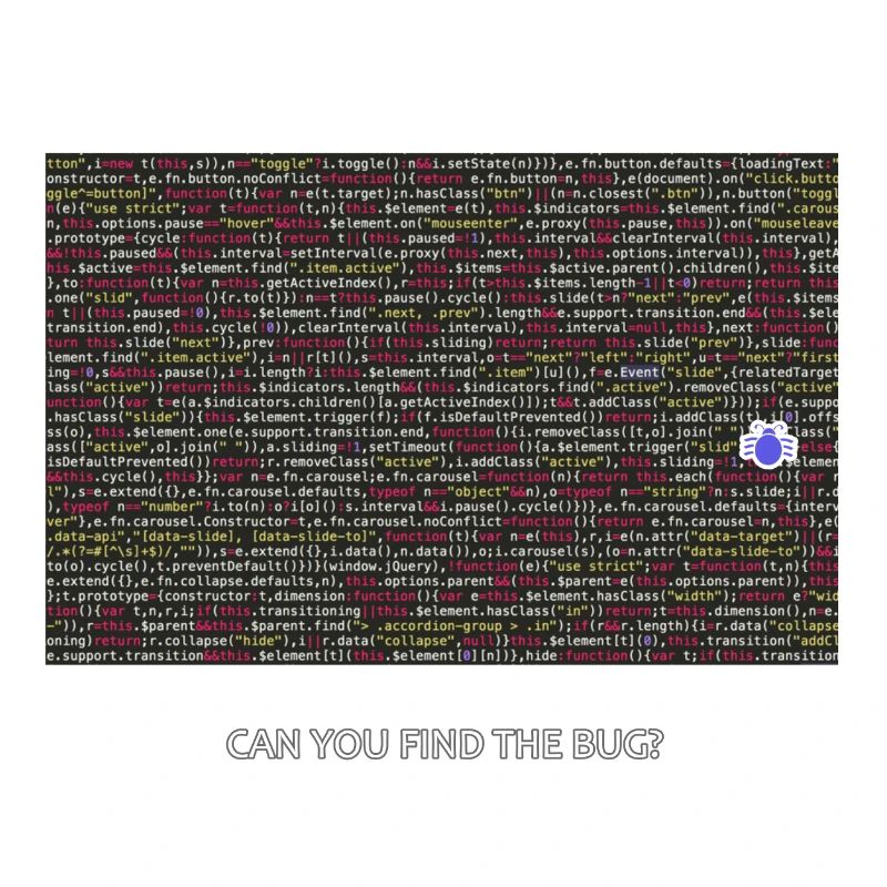 Programmer, coder, bugs, debugging