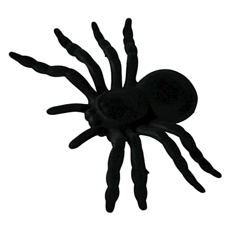 Spider Web, Spider Web, Spider Phobia, Disgusting Gift