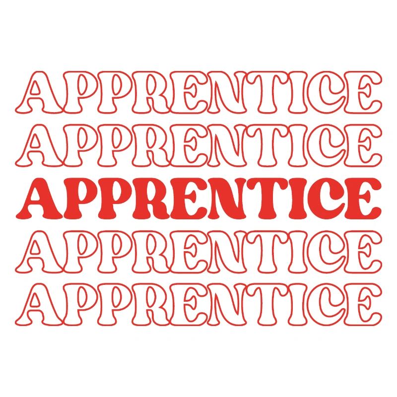 Apprentice Trainee Apprentice Novice Learner