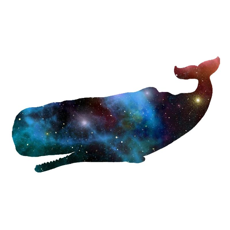 Space whale outer space sperm whale gift