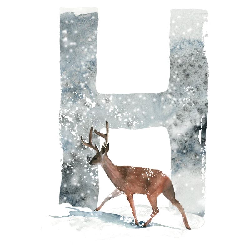 H – decorative character – winter