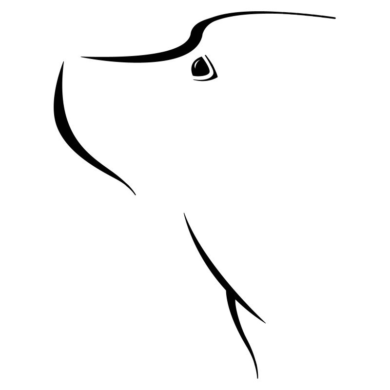 visage de chien