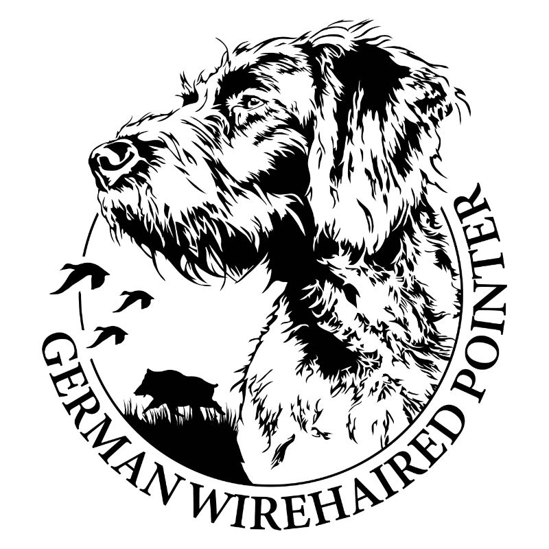 GERMAN WIREHAIRED POINTER Wilsigns Jagdhunde Hund