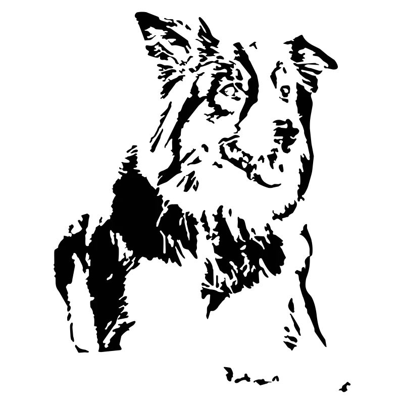 Conception de border collie de chien