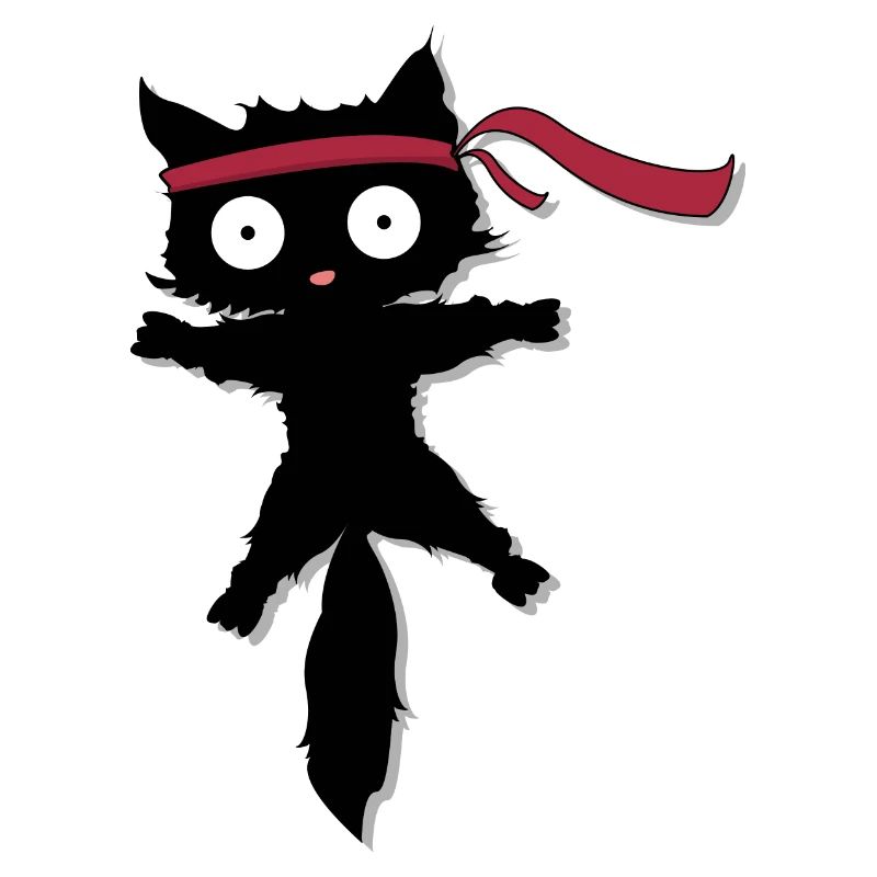 Ninja Protecteur en forme de chat