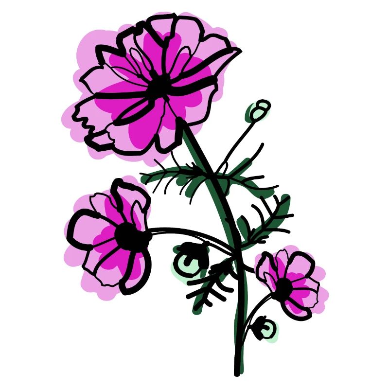 Cosmos de fleur de naissance d’octobre