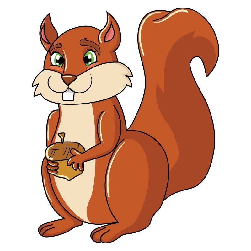 Eichhörnchen
