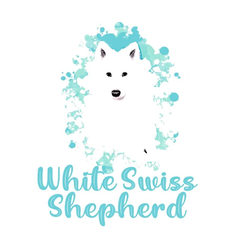 White Swiss Shepherd,dog,shepherd,blue
