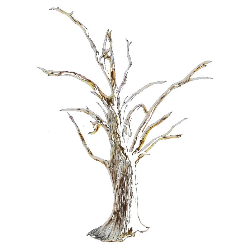 Baum