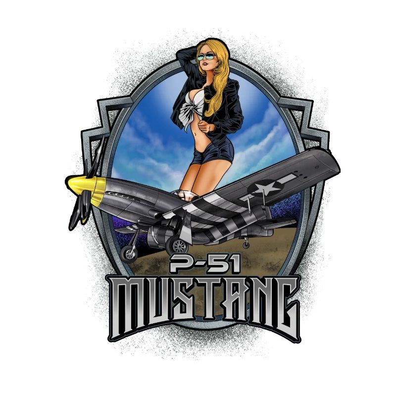 P-51 Airforce Pilot Gift