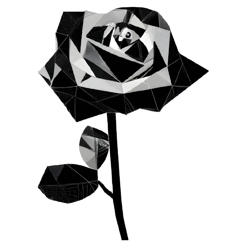Polygon black rose