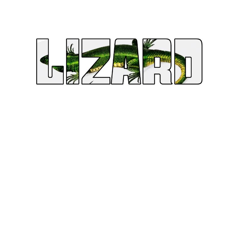 Lizard