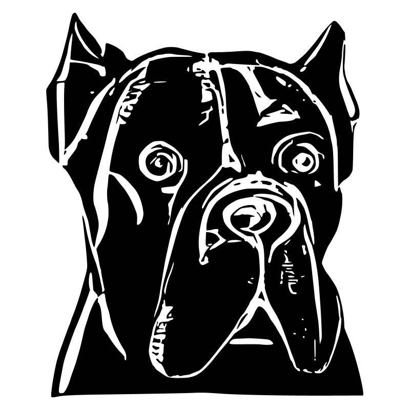 Cane corso