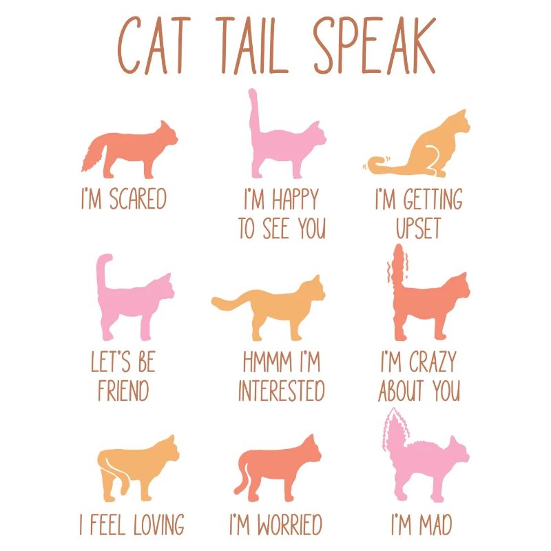 Cat Tail Parler