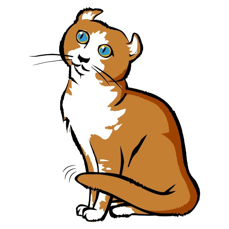 Chat | Chat | graphique est modifié