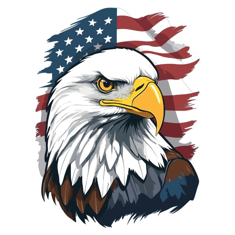 Bald eagle