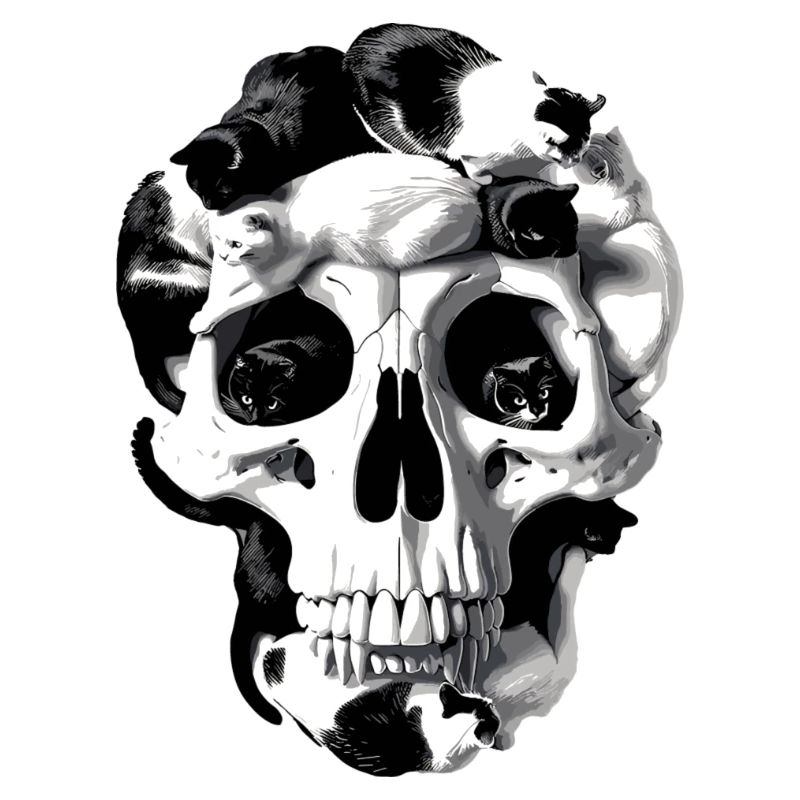 Catskull