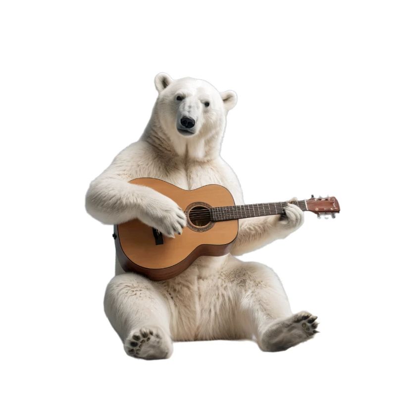 Polar Bear Gitarre