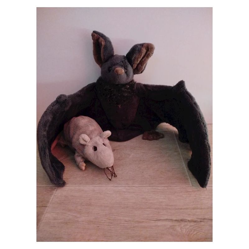 Night Wing Bat and Mouse