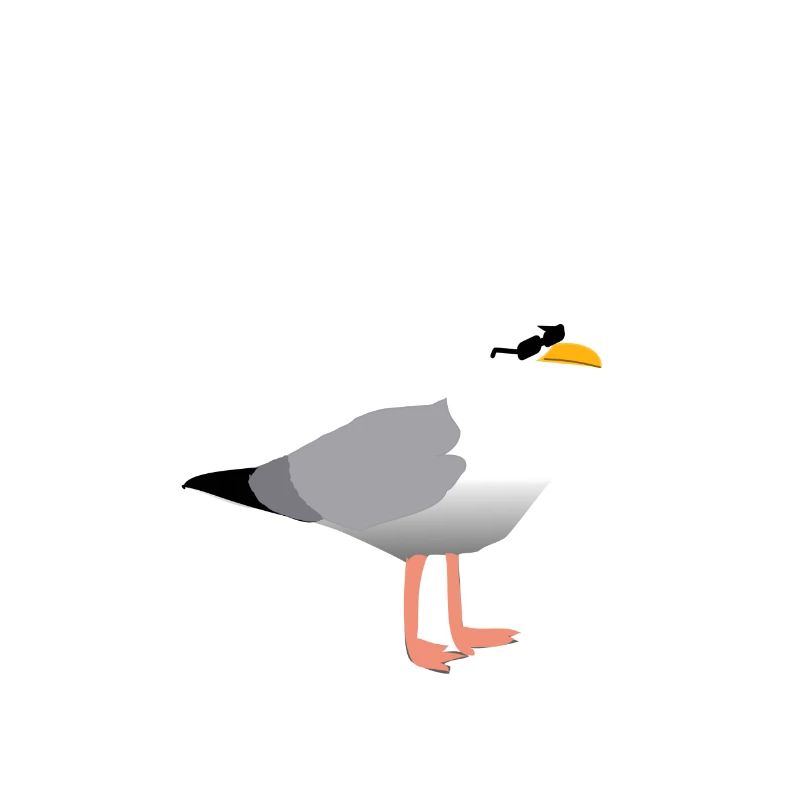 Hamburger Möwe