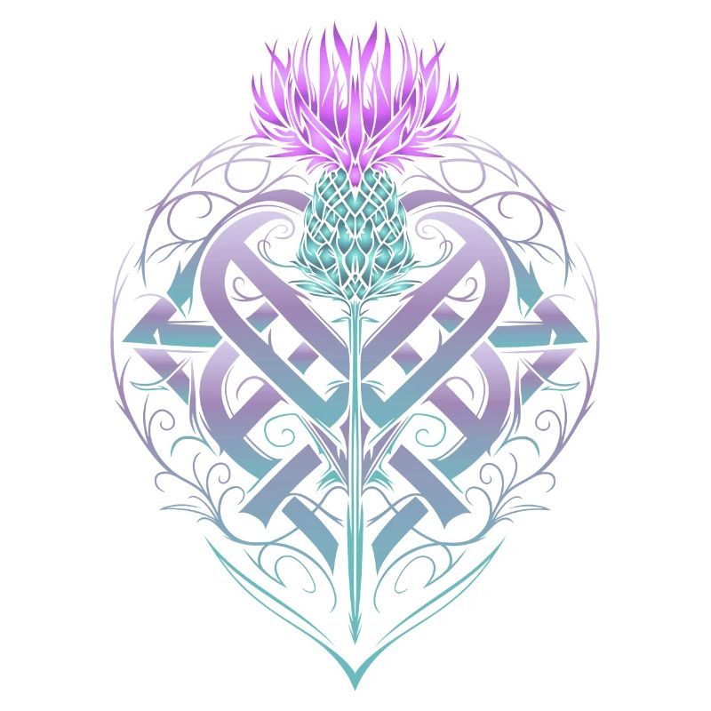 Thistle Shield Celtic Knots Thistle Lover