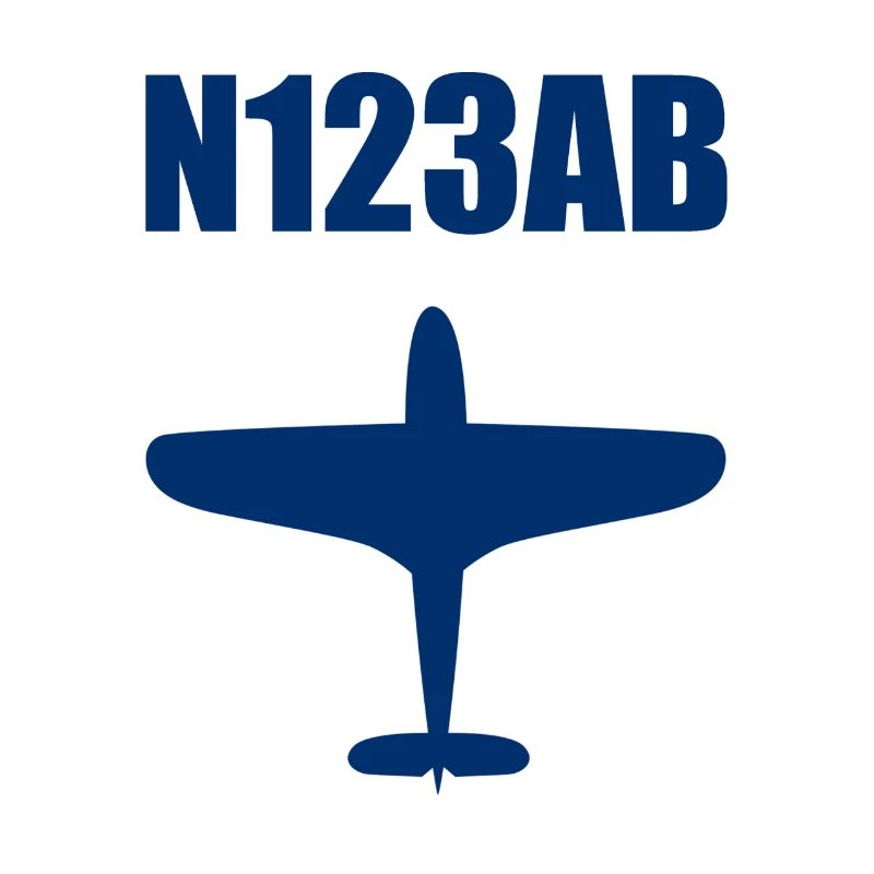 Custom Aviation - Airplane - Flying - Pilot