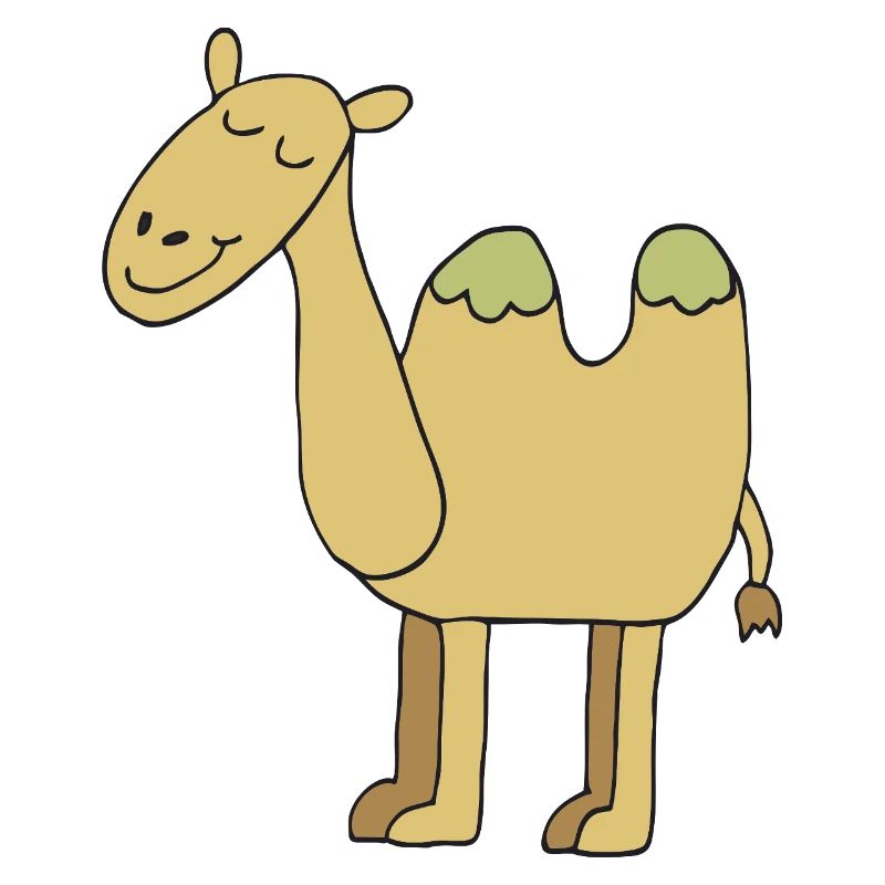 camel