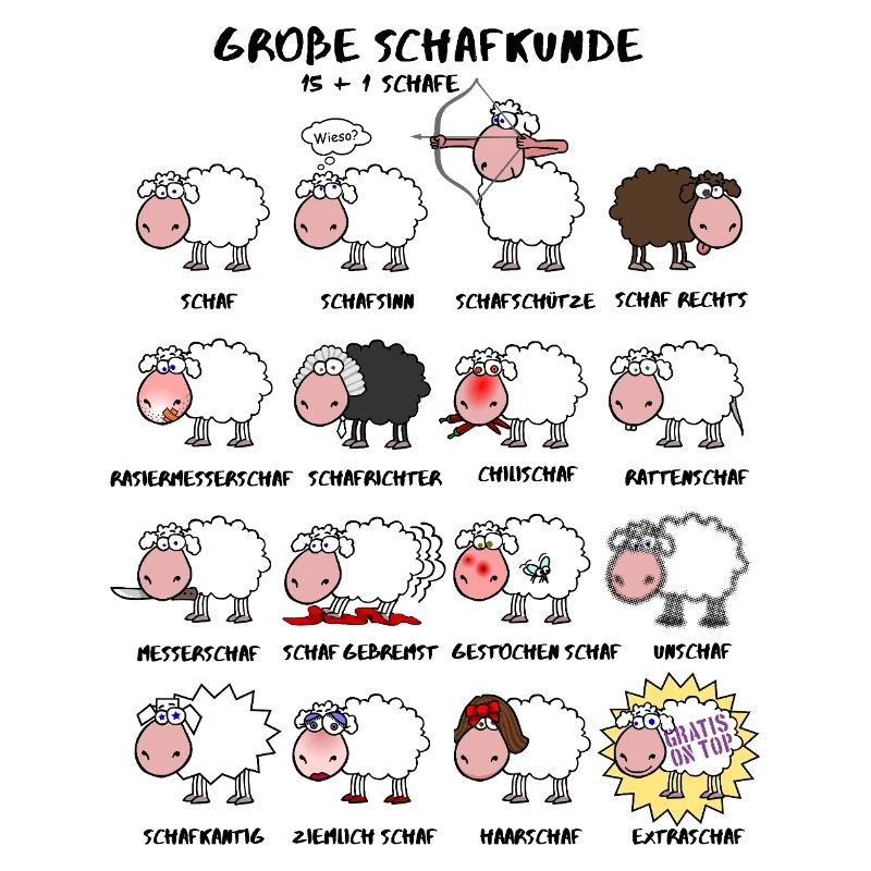 Great sheep knowledge