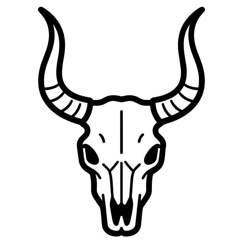 Stierschädel
